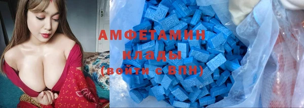 дурь Ельня