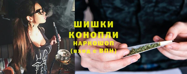 дмт Елабуга