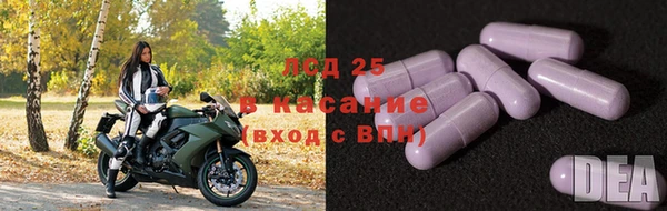 дурь Ельня