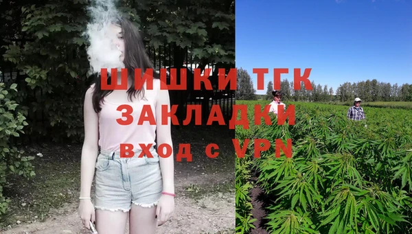 дмт Елабуга