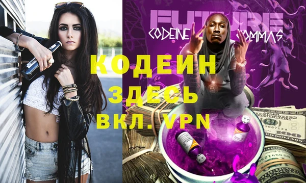дурь Ельня